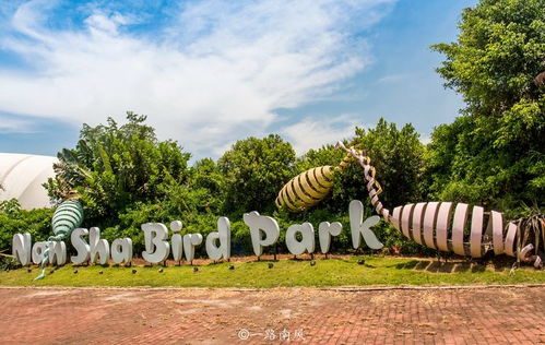 廣東唯一的水鳥生態園,景色迷人,創意無限